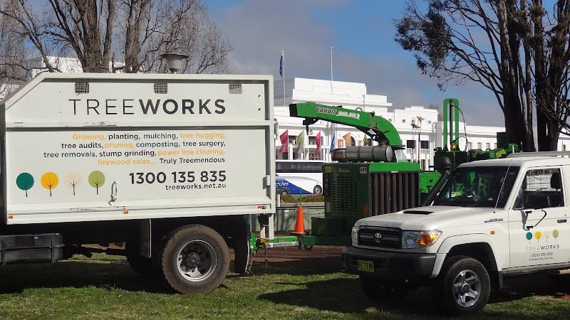 TreeWorks Canberra tree services work in Queanbeyan East