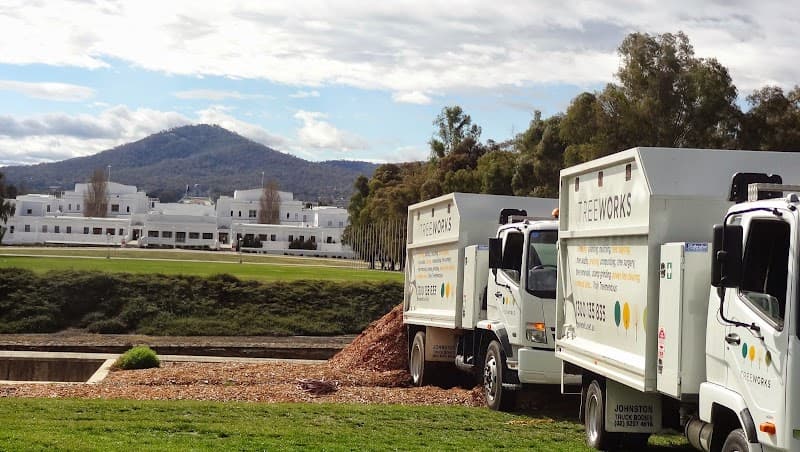 TreeWorks Canberra tree services work in Queanbeyan East