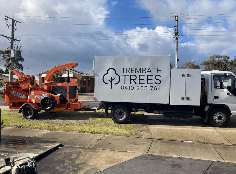 Trembath Trees tree services work in Carrum Downs