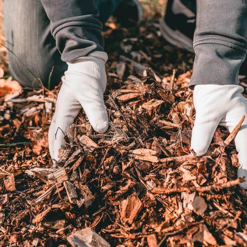 Trembath Trees tree services work in Carrum Downs
