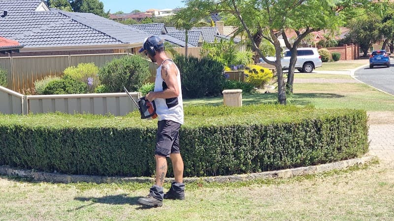 Tried and True Gardening Services gardening work in East Victoria Park