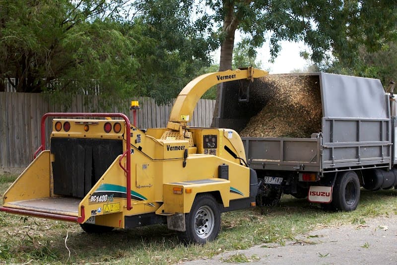 Trim Up Tree Service Pty Ltd tree services work in