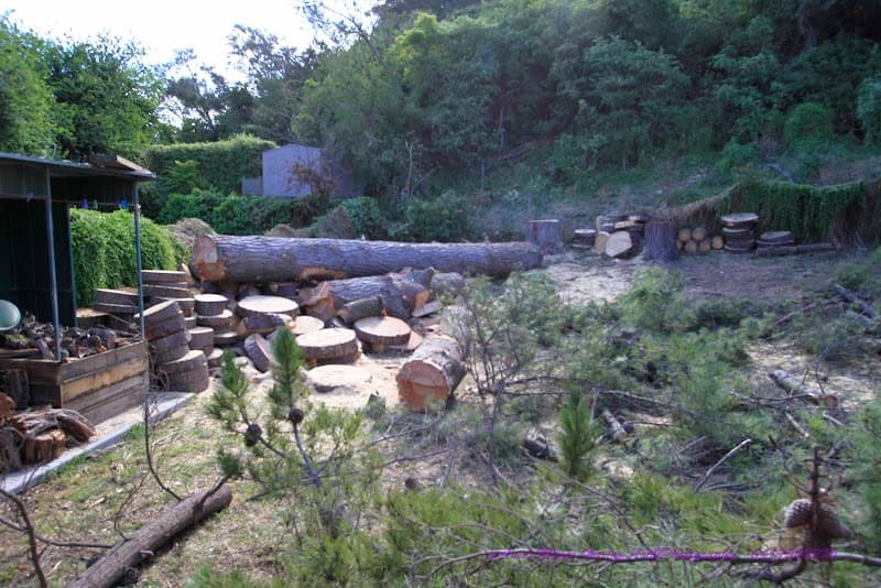 Trim Up Tree Service Pty Ltd tree services work in