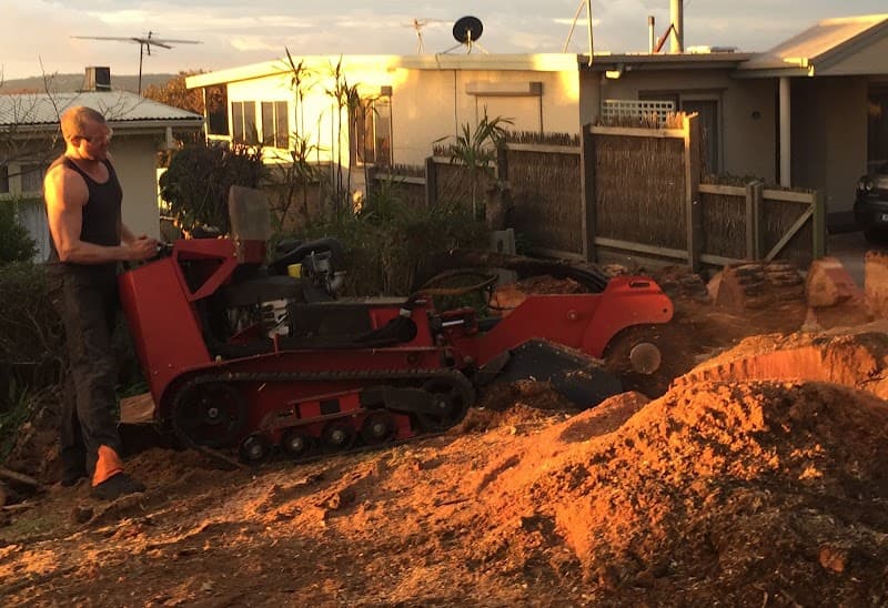 Trim Up Tree Service Pty Ltd tree services work in