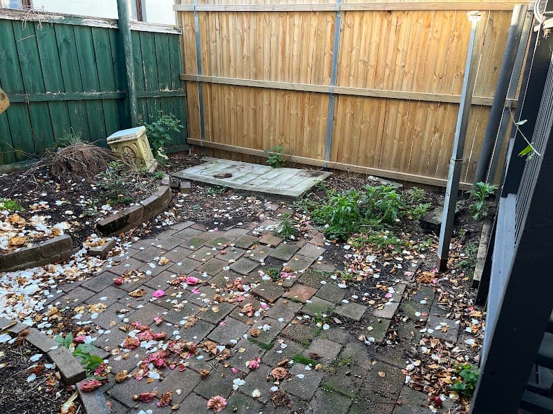 Trinity Landscape & Sports gardening work in North Parramatta