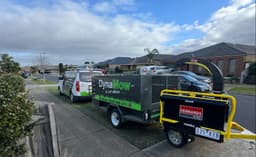 Trojan Trees Removal Services Geelong