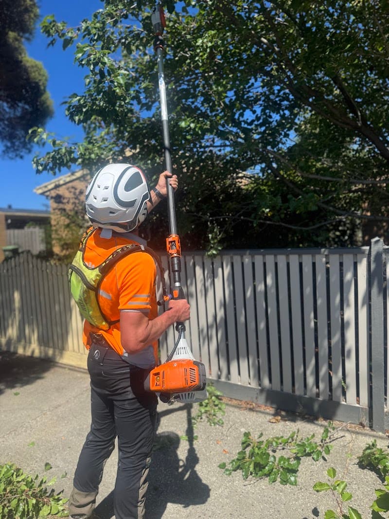 Trojan Trees Removal Services Geelong gardening work in South Geelong