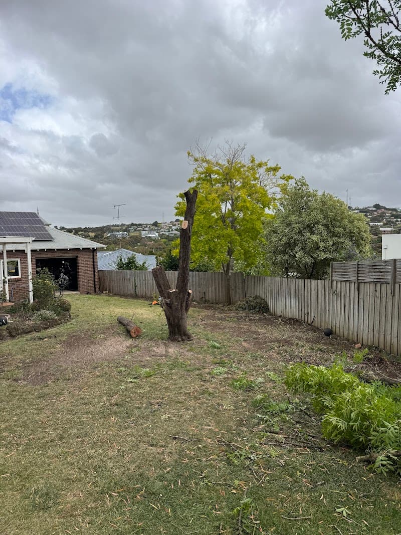 Trojan Trees Removal Services Geelong gardening work in South Geelong