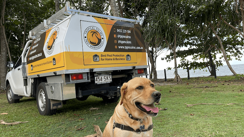 Tropical Palms Pest Management pest control work in Smithfield