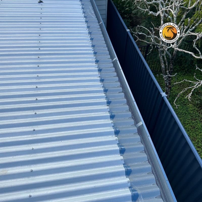 Tropical Palms Pest Management pest control work in Smithfield