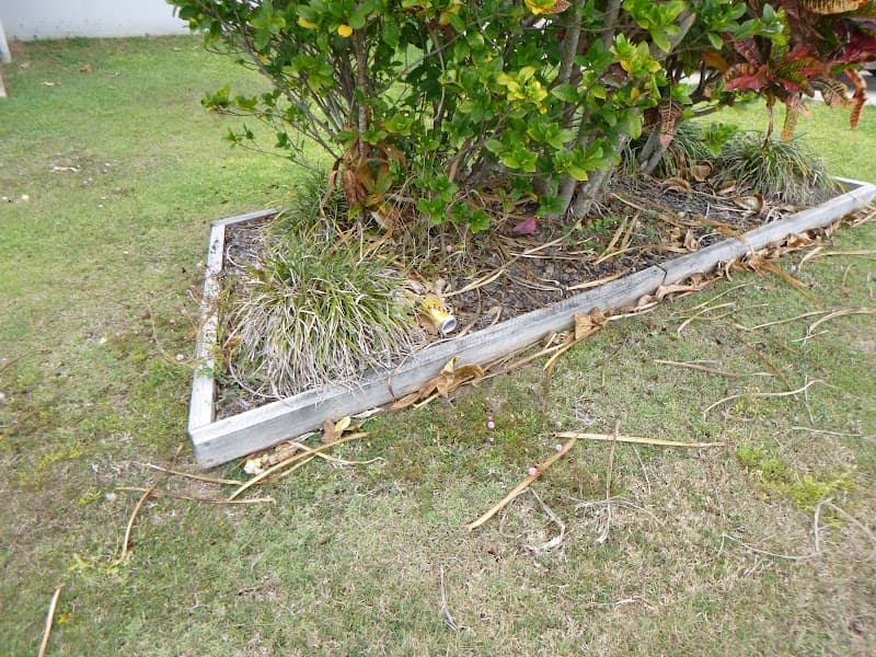 Tropical Pest Control pest control work in Mackay
