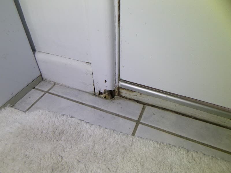 Tropical Pest Control pest control work in Mackay