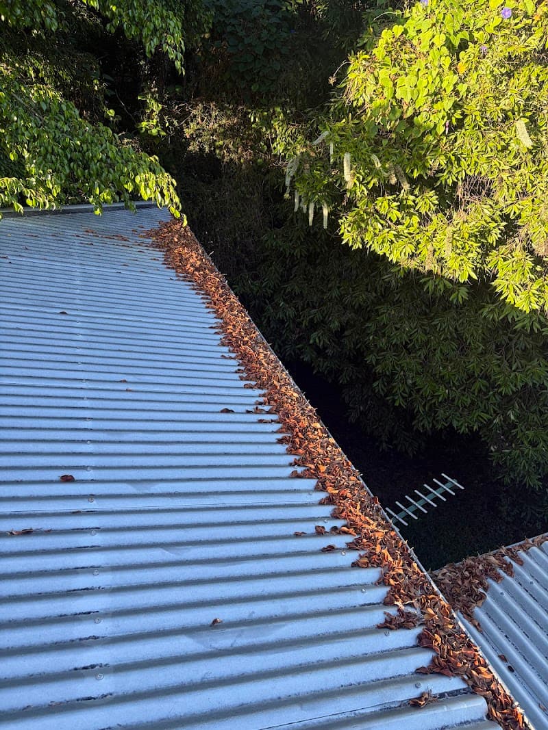 Tru Flo Gutter Clean gutter cleaning work in Mount Coolum