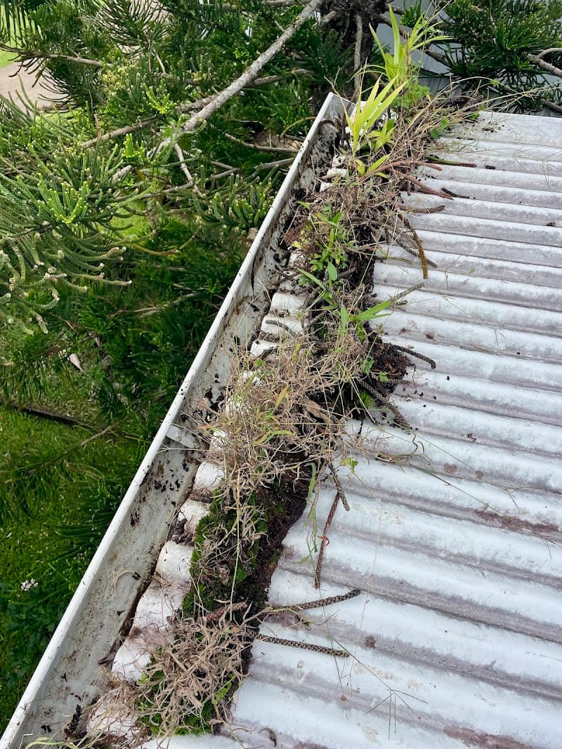 Tru Flo Gutter Clean gutter cleaning work in Mount Coolum