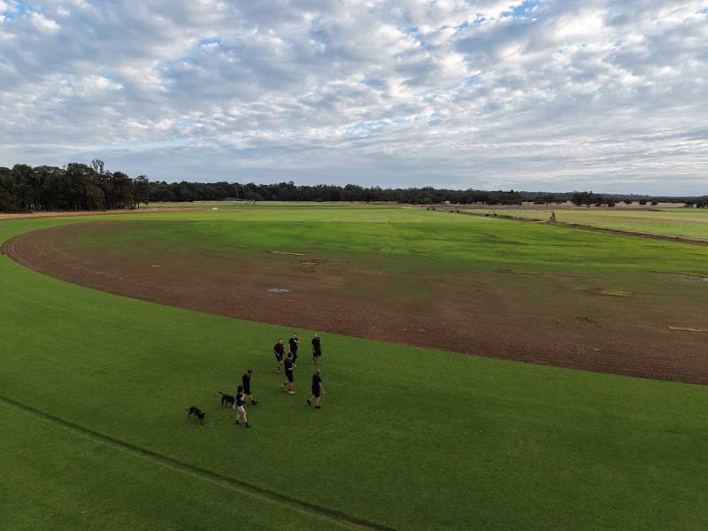 TRUE BLUE TURF Bunbury landscaping work in Bunbury
