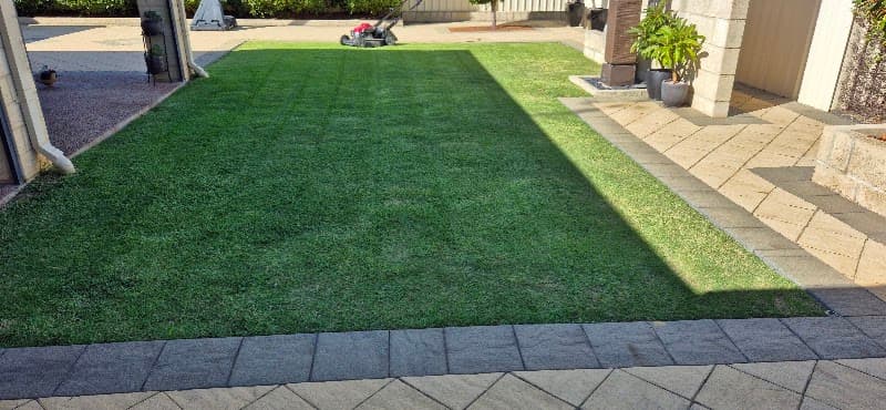 TRUE BLUE TURF Bunbury landscaping work in Bunbury