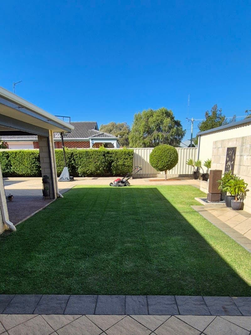TRUE BLUE TURF Bunbury landscaping work in Bunbury