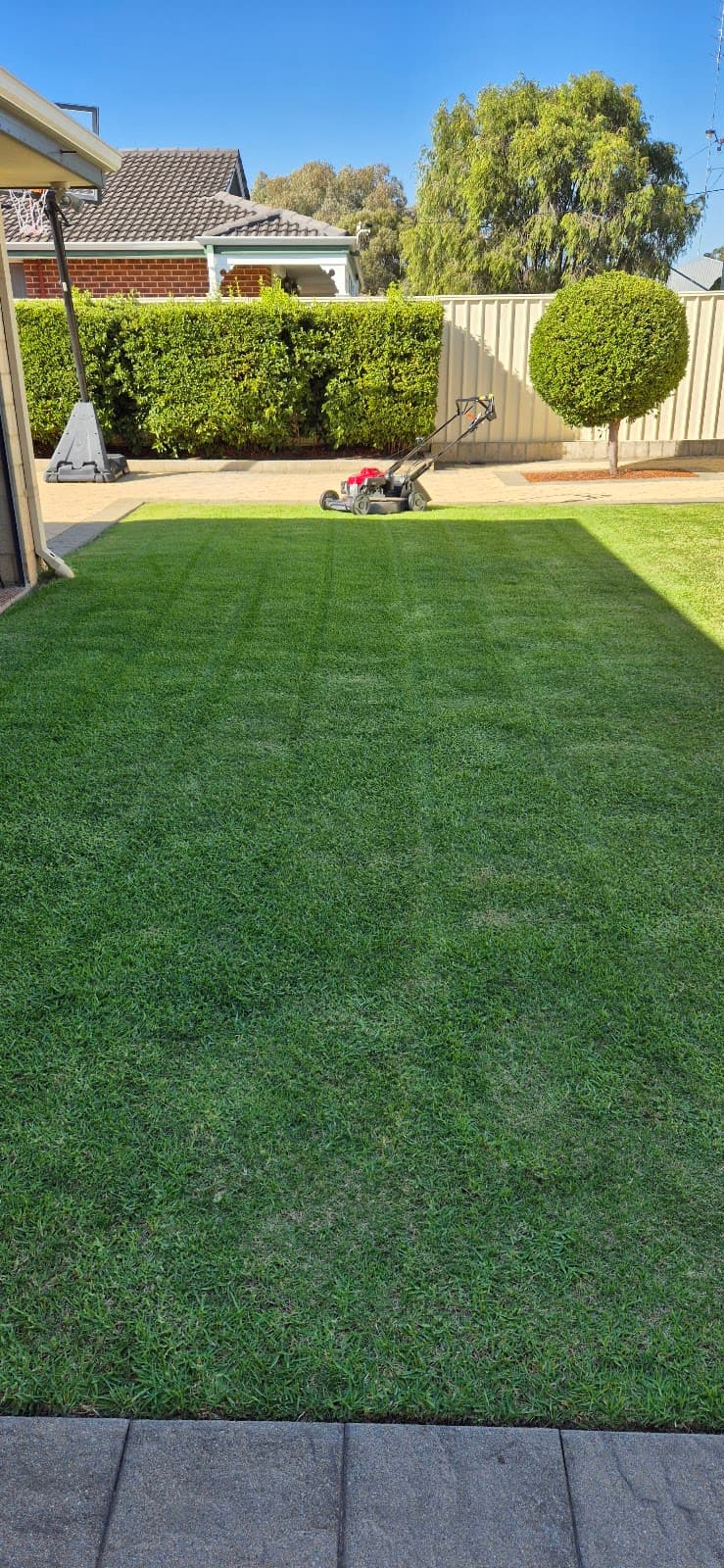 TRUE BLUE TURF Bunbury landscaping work in Bunbury
