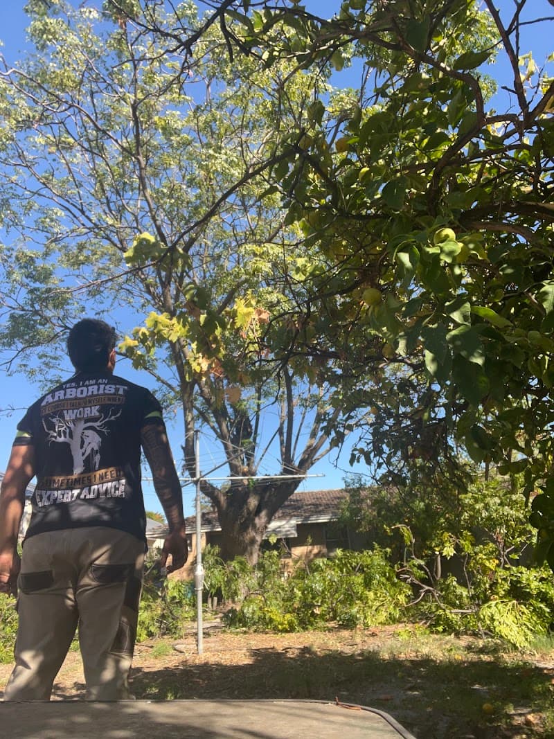 Trusted trees tree services work in Rockingham