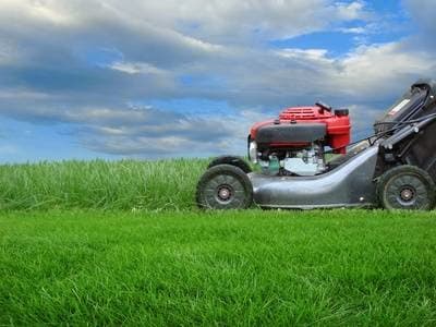 Twin City Mowing & Garden Services lawn care work in Albury