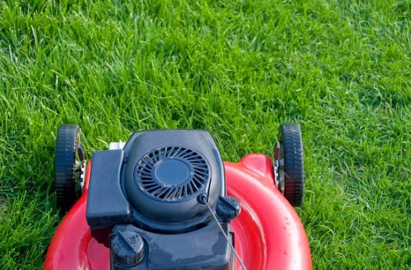 Twin City Mowing & Garden Services lawn care work in Albury
