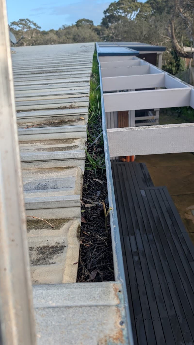 Tyz A1 Cleaning service gutter cleaning work in Mornington