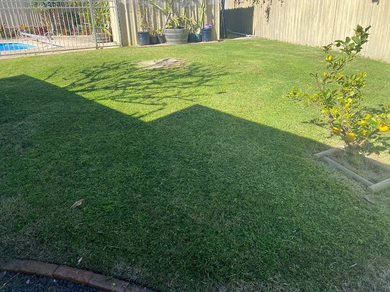 U Grow It I'll Mow It lawn care work in Carey Park