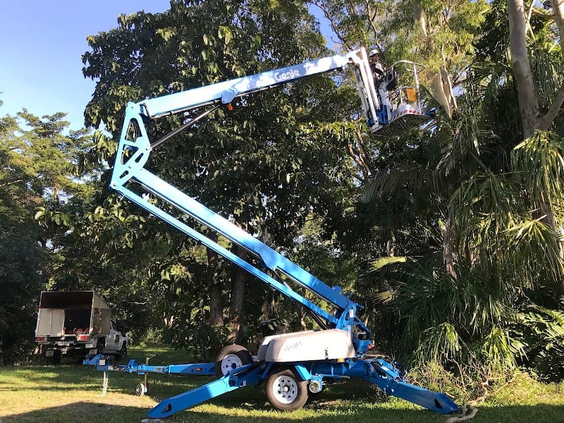 Urban Arborcare tree services work in West Mackay