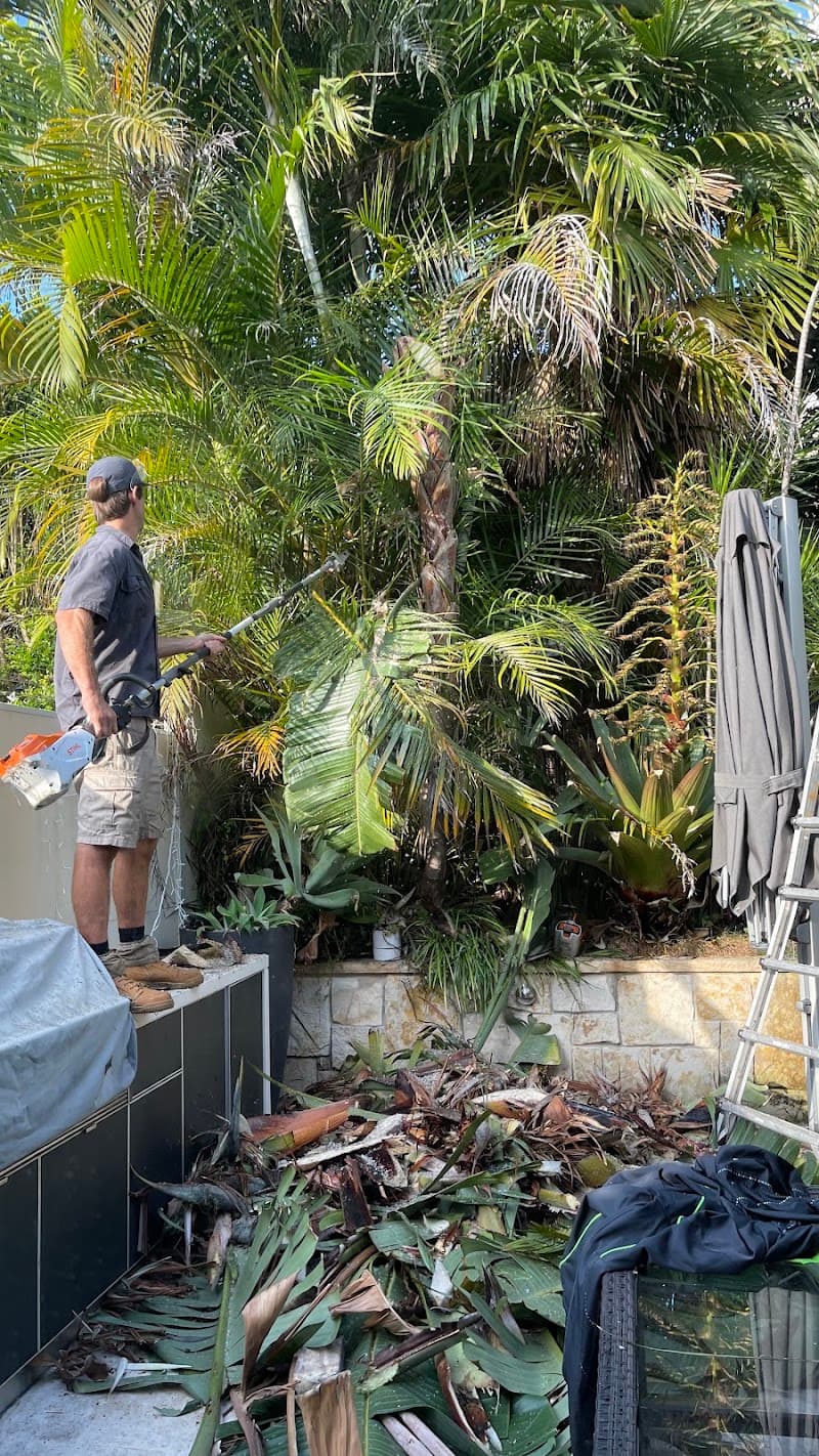 Urban Growth Gardening Services gardening work in Brookvale