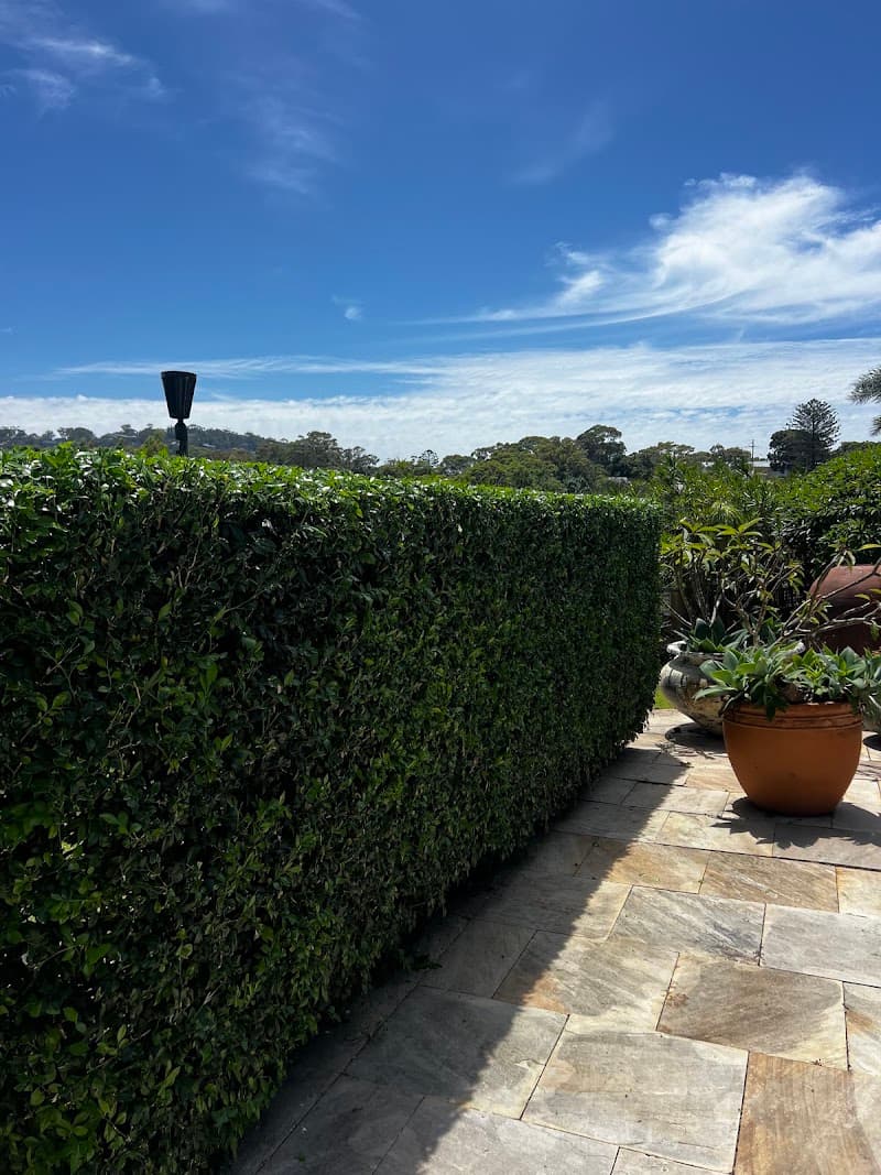 Urban Growth Gardening Services gardening work in Brookvale