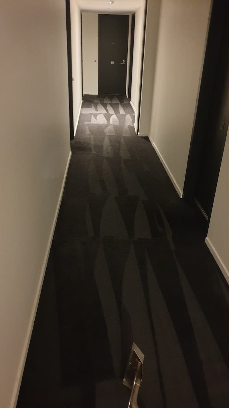 Urban Steam Clean (Carpet & Upholstery) carpet cleaning work in North Melbourne