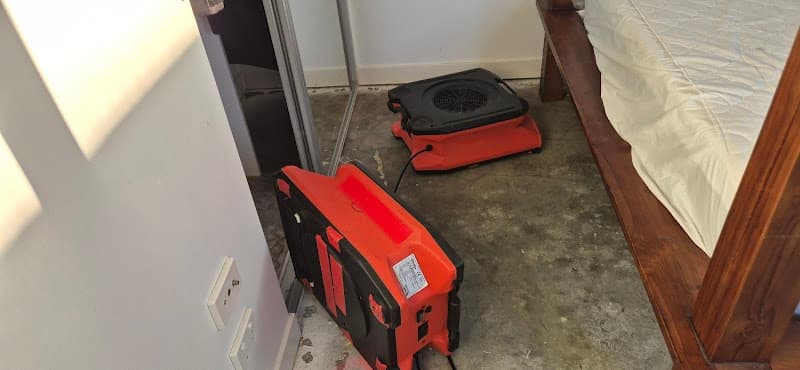 Urban Steam Clean (Carpet & Upholstery) carpet cleaning work in North Melbourne