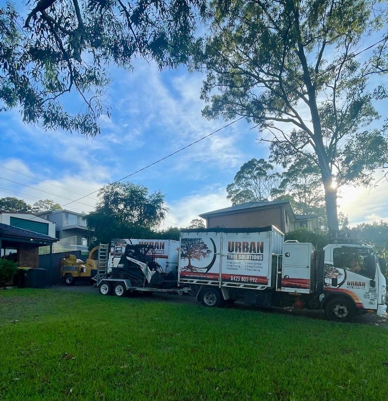 Urban Tree Solutions tree services work in Gateshead