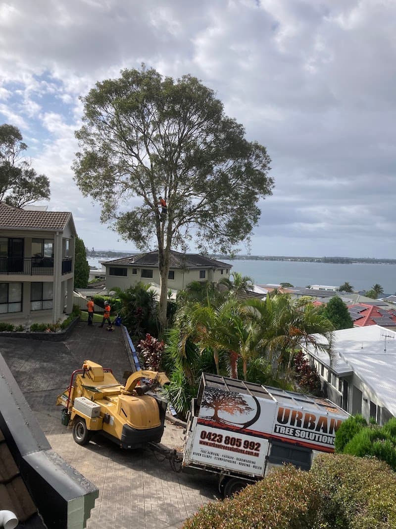 Urban Tree Solutions tree services work in Gateshead