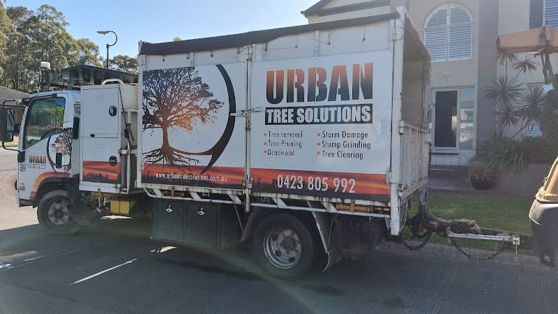 Urban Tree Solutions tree services work in Gateshead