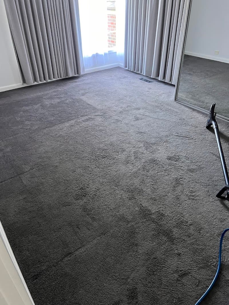 Useus Cleaning Services carpet cleaning work in Bundoora