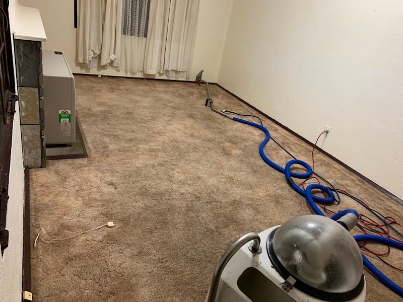 Useus Cleaning Services carpet cleaning work in Bundoora