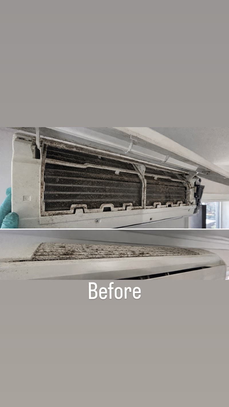 V & L Home Cleaning cleaning work in Wickham