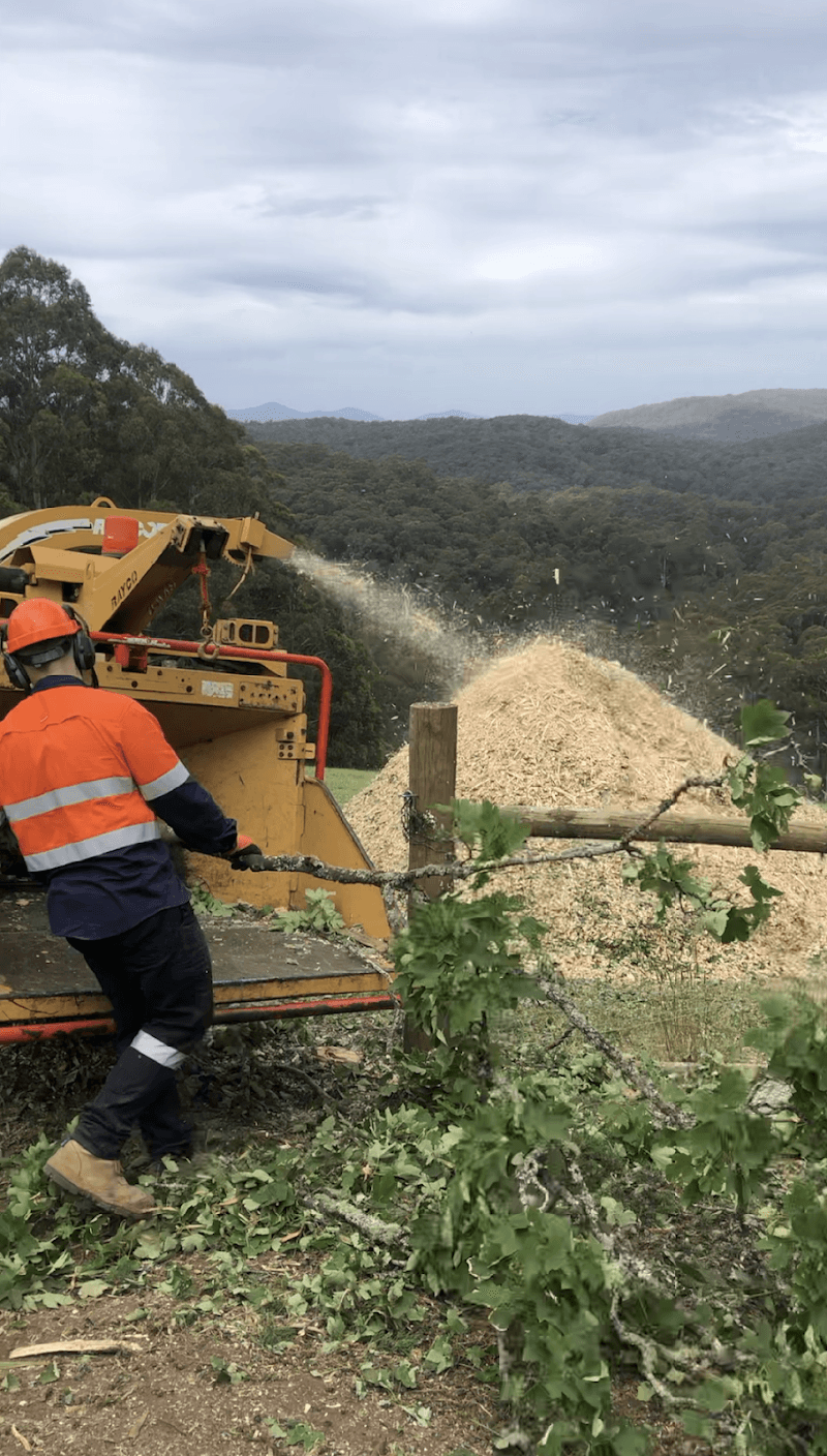 Vantage Tree Services tree services work in Frankston