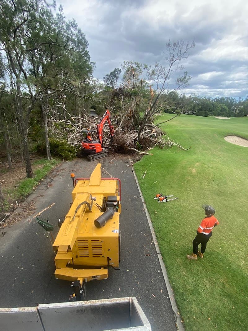 Vantage Tree Services tree services work in Frankston