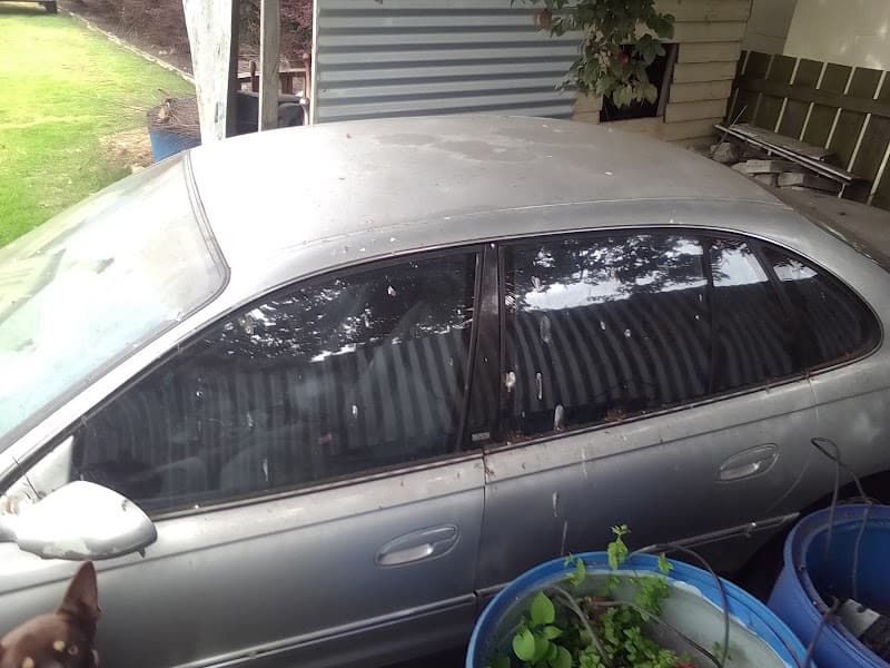 Veolia Environmental Services rubbish removal work in Mount Gambier