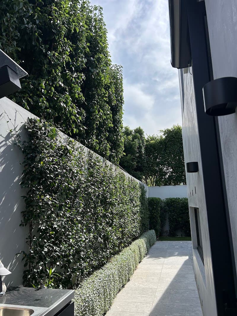 Verdure Trees and Gardens tree services work in Frankston
