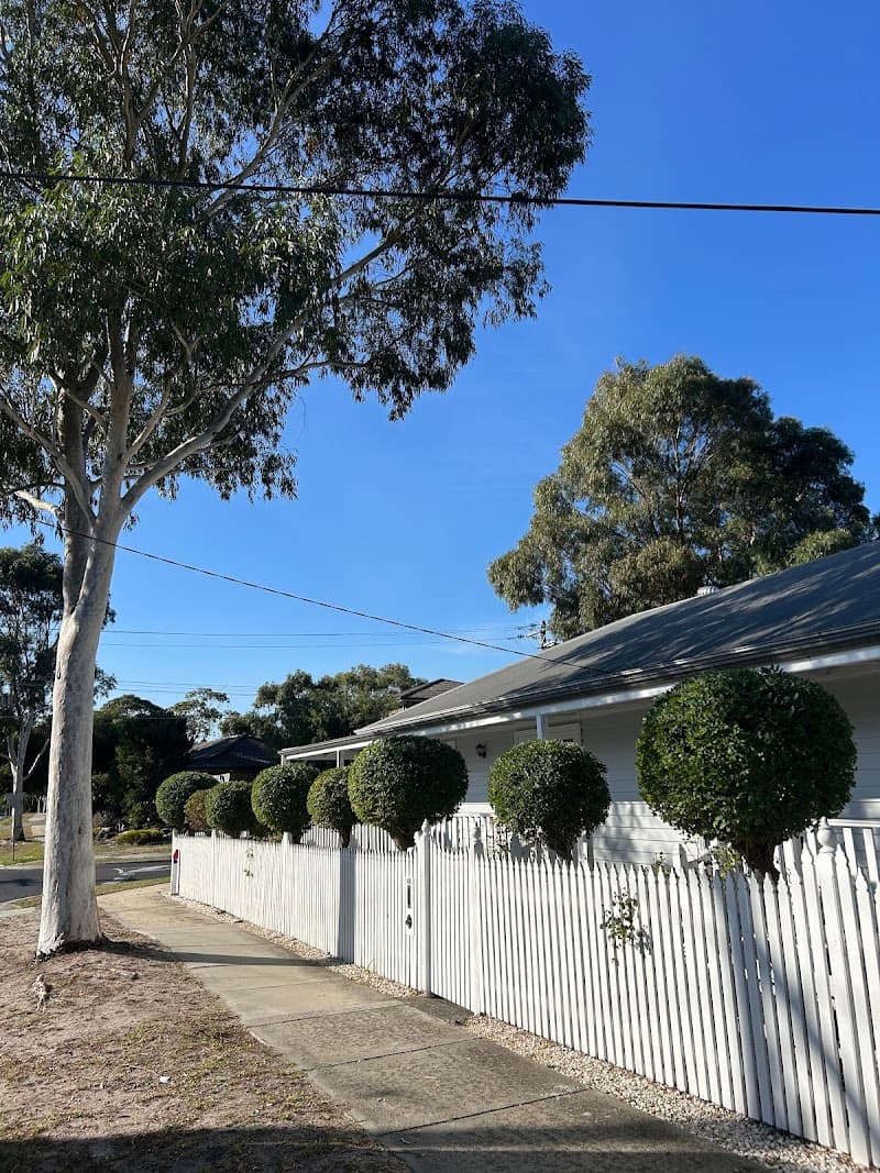 Verdure Trees and Gardens tree services work in Frankston