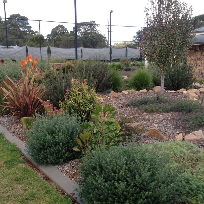 Verve Gardens Pty Ltd landscaping work in Newtown