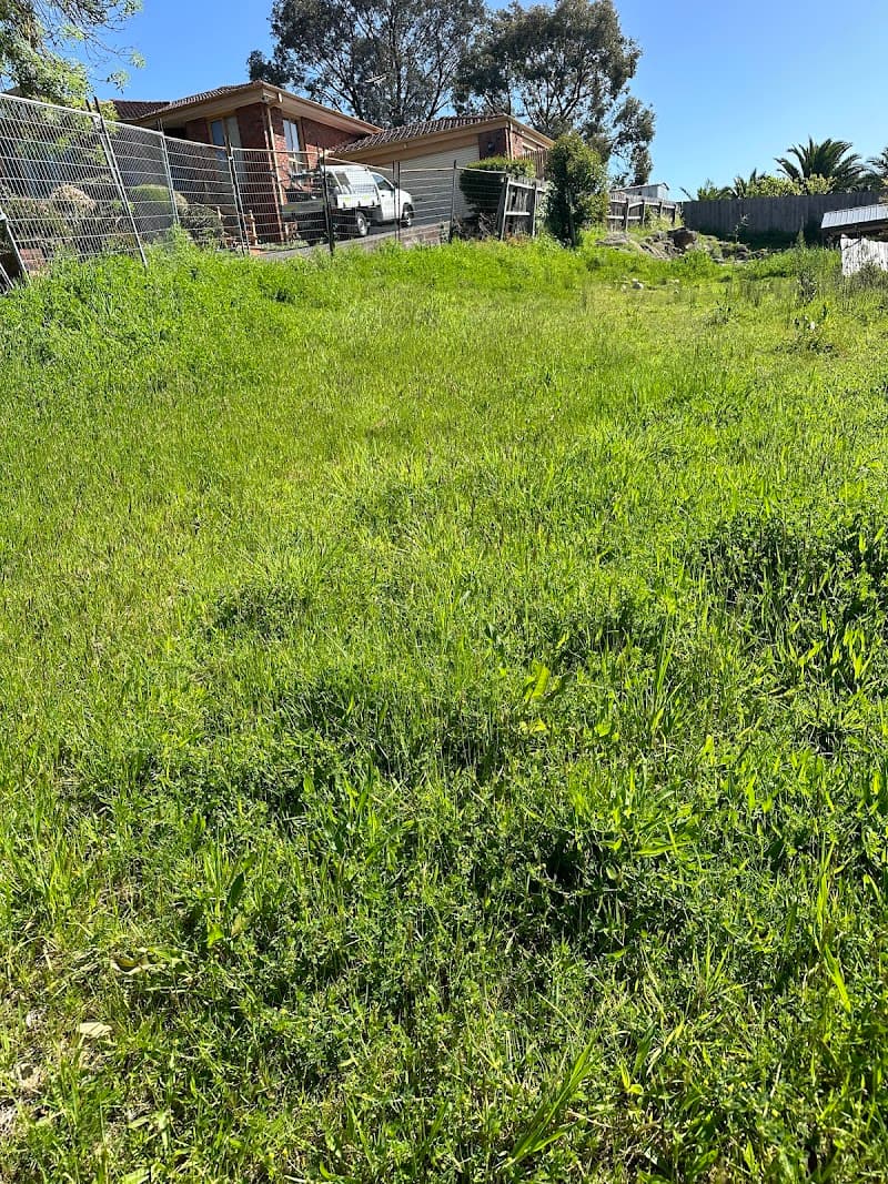 VIC LAWN CARE lawn care work in Strathmore