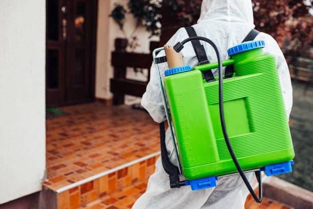Victorian Pest Control pest control work in Brunswick