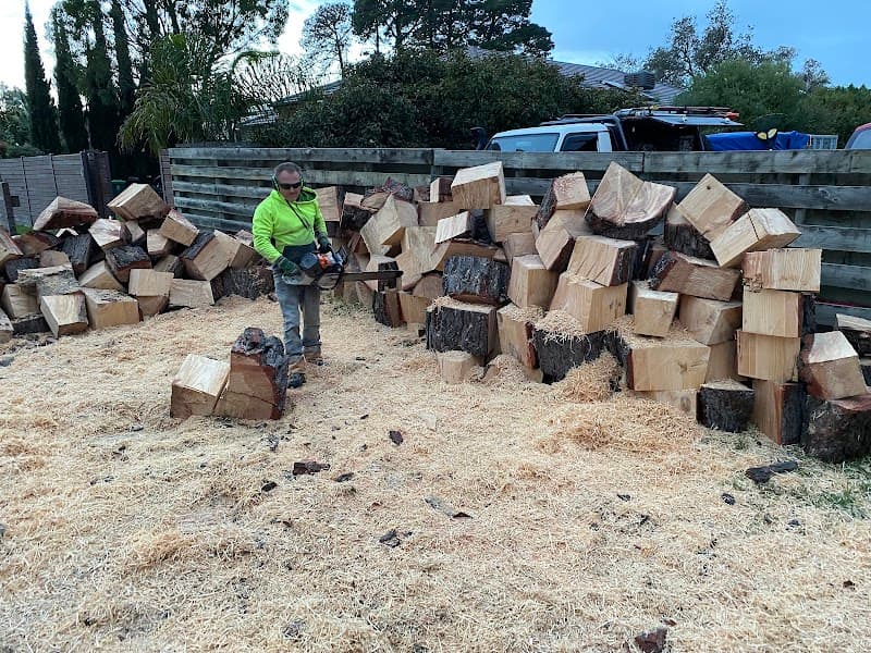 Victorian Tree Specialists tree services work in Blackburn South