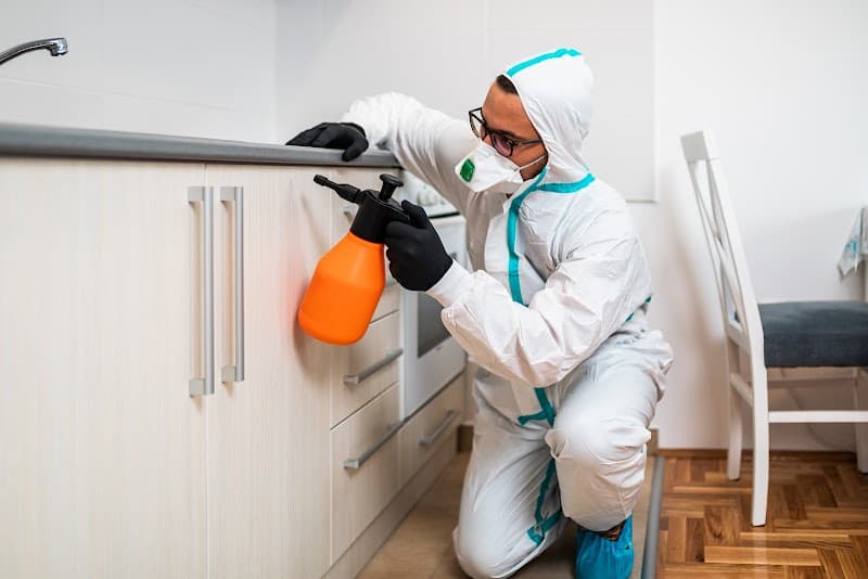 Vigilant Pest Control pest control work in Loganlea