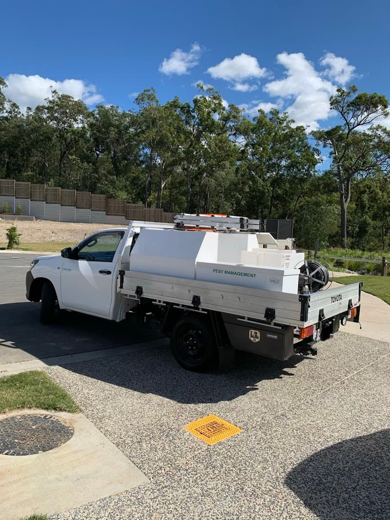 Vigilant Pest Control pest control work in Loganlea