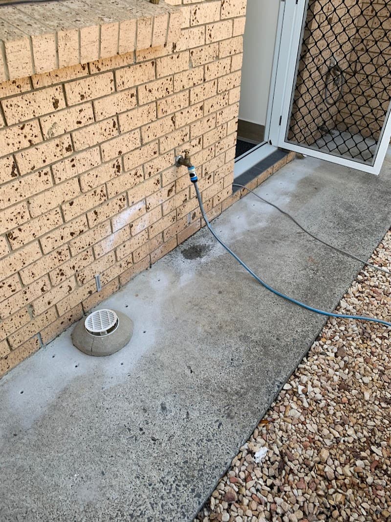 Vigilant Pest Control pest control work in Loganlea